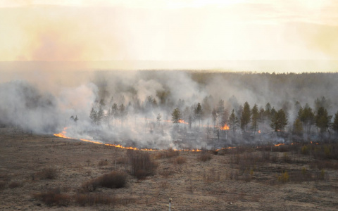 Нижегородскую область могут настигнуть пожары четвертого класса опасности