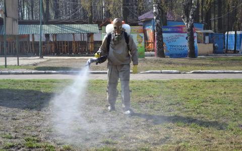 Территории Дзержинска начали обрабатывать от клещей и комаров