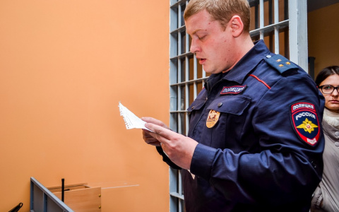 Жительница Дзержинска оштрафована за оскорбление полицейских