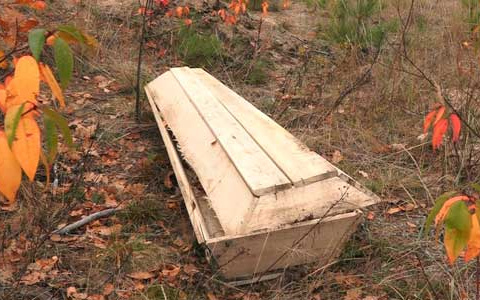 Гроб нашли очевидцы в Дзержинском лесу