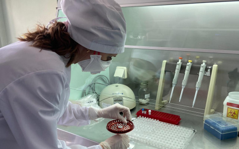 Новые данные по заболеваемости COVID-19 в Нижегородской области на 23 октября