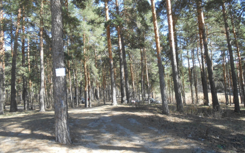 ТОП мест безопасных от вредителей в Дзержинске