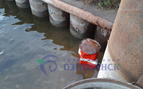 Новость об "отравленной" рыбе в Оке опровергла администрация Дзержинска