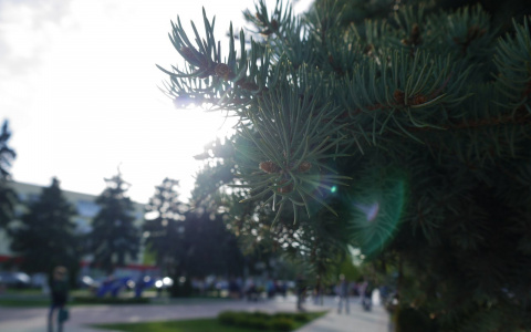 Дзержинцев огорчат погодные условия в майские праздники