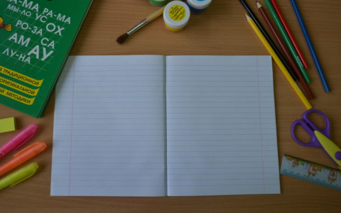 Семейное обучение для дзержинских младшеклассников: как перейти?