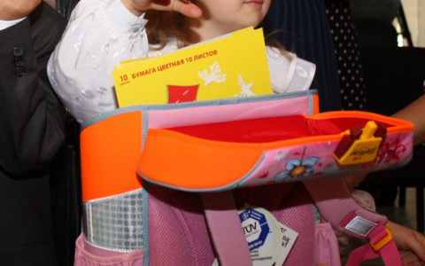 Узнать оценки детей дзержинцы смогут через мобильные приложения