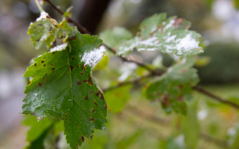 Синоптики рассказали, когда в Дзержинске начнутся заморозки