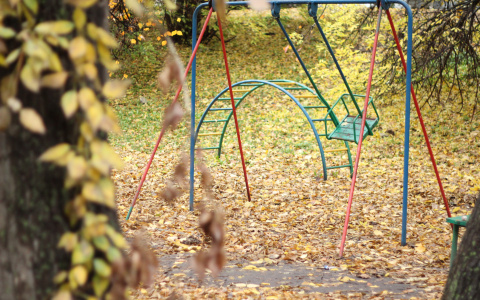 Полицейские Дзержинска поймали похитителей качелей (ВИДЕО)