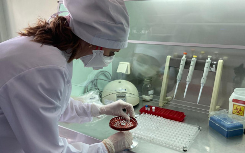 Новая статистика зараженных COVID-19: рост не останавливается