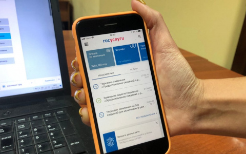 Дзержинцы смогут обратиться к губернатору через госуслуги