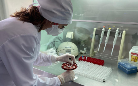 Статистика больных COVID-19 в Нижегородской области: данные на 24 ноября