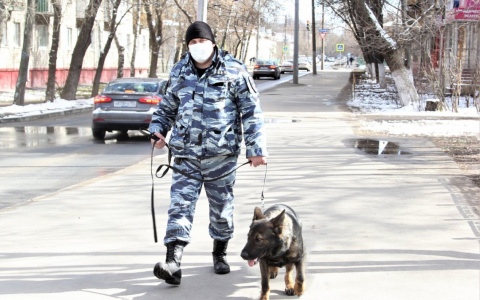 Власти собрали с нижегородцев 1,5 млн рублей за плохую борьбу с COVID-19