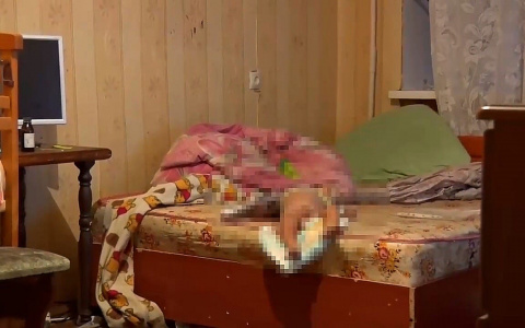 Полуторагодовалый ребенок при неизвестных обстоятельствах умер в Дзержинске