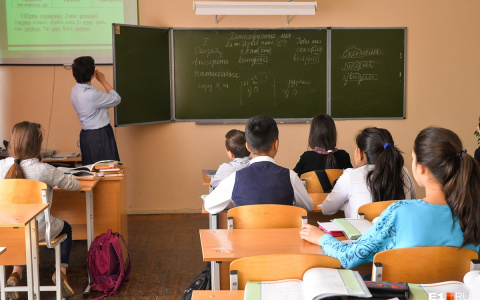 Нижегородский Минобр заявил, что дистанционка не вредит качеству образования детей
