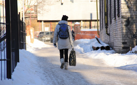 Что дзержинцам ждать от погоды в декабре: прогноз гидрометцентра