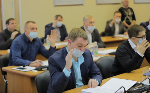 На что дума Дзержинска будет тратить бюджет в 2021 году