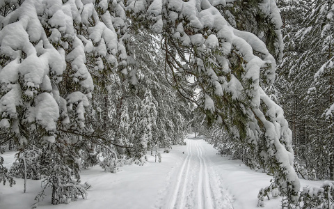 Потепление и снег ждут жителей Нижегородской области в выходные