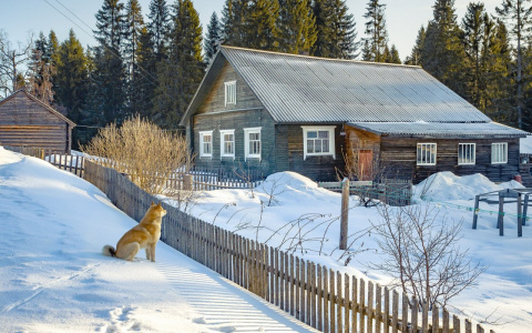 Новая кадастровая оценка недвижимости действует в Нижегородской области