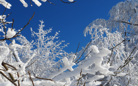 "Температурные качели" ожидаются в Нижегородской области