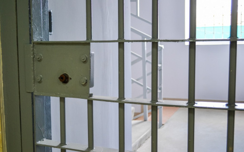 Мужчина в течении двух месяцев воровал электроприборы из разных магазинов  Дзержинска