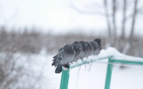 В Дзержинск нагрянут аномальные морозы
