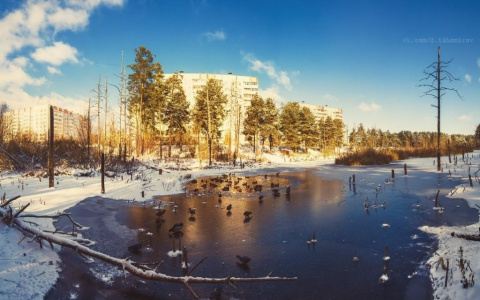 Стало известно будет ли лыжня в парке "Утиное озеро"