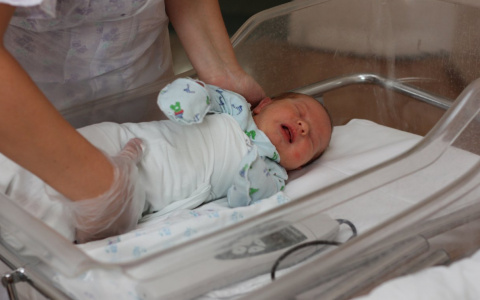 В Дзержинске у младенца оказалось два свидетельства о рождении с разными мамами