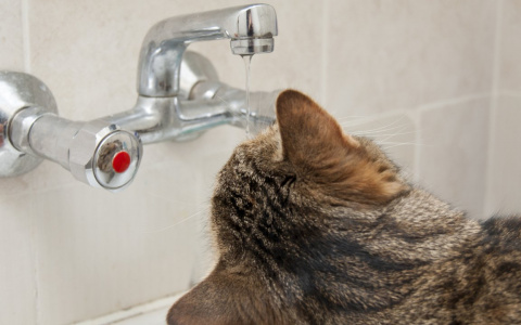 Жители Решетихи остались без воды в морозы