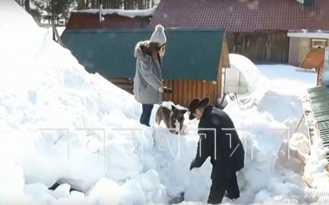 Жителя Нижегородской области убил упавший с крыши снег