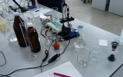 Дзержинский «Химсорбент» оштафовали за выбросы вредных веществ