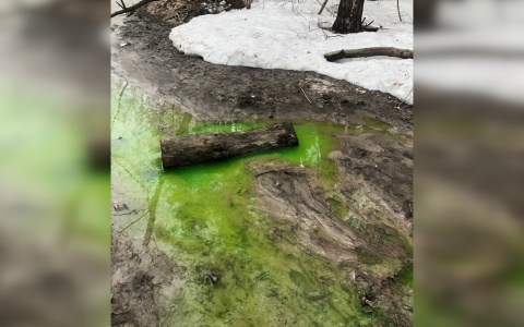 В Дзержинске заметили ярко-зеленую реку