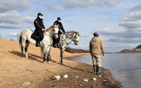 Теплая погода с переменной облачностью установится в Нижегородской области