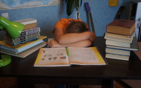 Минтруд изменил правила использования материнского капитала