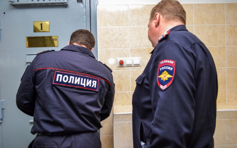 В Дзержинске задержан мужчина, воровавший электронику