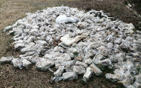 Свалку ржаного хлеба обнаружили под Дзержинском