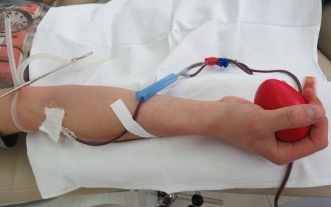 Специалисты назвали группу крови с самым стойким иммунитетом