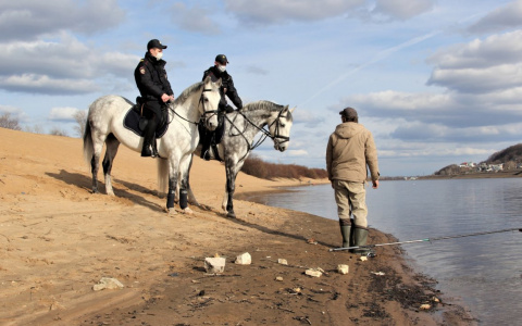 Летняя погода установится в Нижегородской области 12 мая