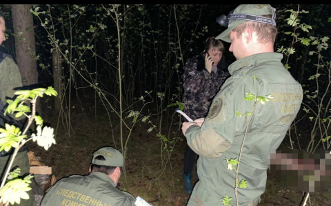 Тело 12-летней школьницы нашли в лесополосе в Балахнинском районе