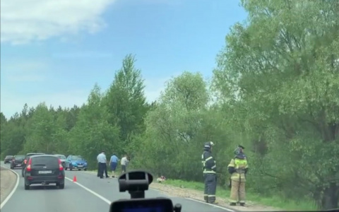 Сотрудник ГИБДД и его беременная жена погибли в ДТП в Нижегородской области