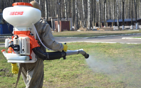 Роспотребнадзор напомнил, как обезопасить себя от встречи с клещами