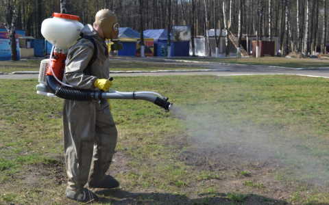 Тысячи жителей Нижегородской области пострадали от укусов клещей