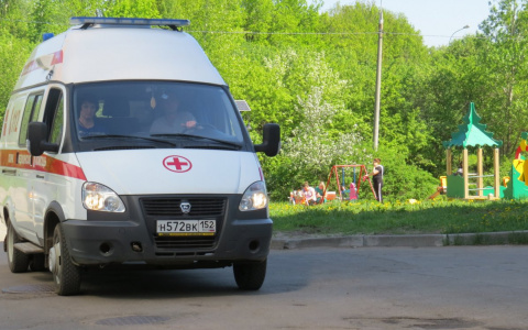 Еще более опасная для людей инфекция выявлена в Нижегородской области