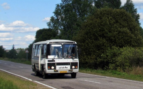 Активисты ОНФ Нижегородской области отстаивают сохранение автобусных маршрутов