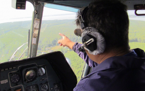 Названы 9 районов Нижегородской области, где запрещено заходить в лес