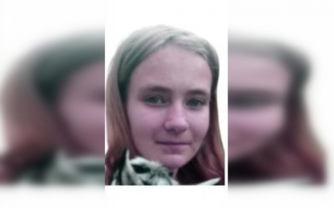 15-летняя девочка ушла за ягодами и пропала в лесу в Нижегородской области
