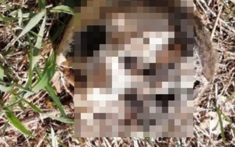 Человеческий череп найден на берегу Бездонки в Дзержинске