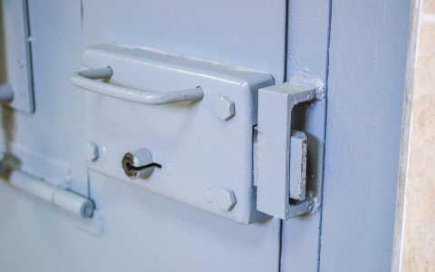 Жителя Дзержинска осудили за продажу нацистских значков