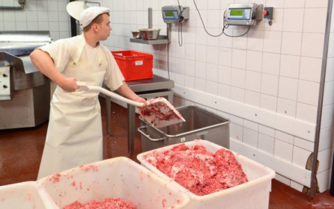 Сальмонеллы обнаружили в фарше и котлетах, произведенных в Нижегородской области