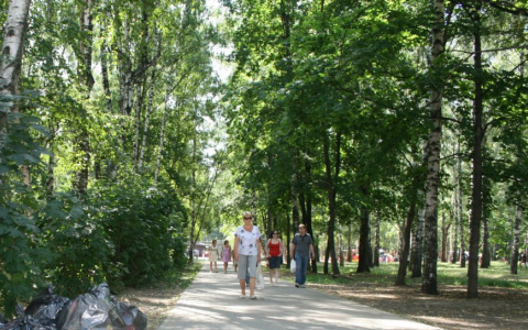 Объявляется открытым обсуждение благоустройства территории Центрального городского парка культуры и отдыха