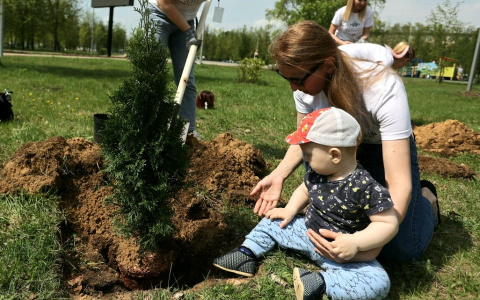 В Дзержинске по итогу 2021 года будет высажено более 24 тысяч саженцев деревьев и кустарников